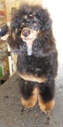7mo 005
